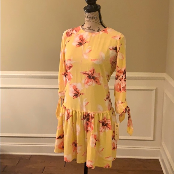 NWT Uncle Frank Ruffled Tie Sleeve Patterned Dress - Picture 2 of 8